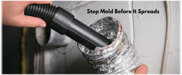 Air Duct Mold Removal in Grayslake IL